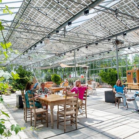 Achterhoeks Goed, Bed & Breakfast In Vragender Екстер'єр фото