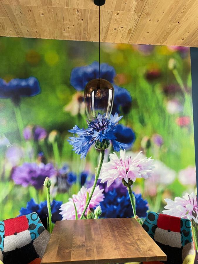Achterhoeks Goed, Bed & Breakfast In Vragender Екстер'єр фото