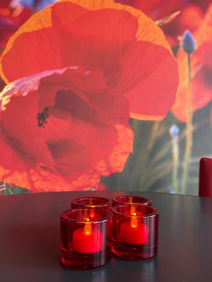 Achterhoeks Goed, Bed & Breakfast In Vragender Екстер'єр фото